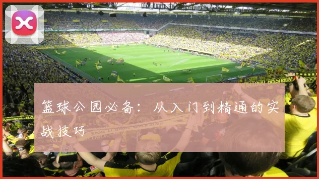 篮球公园必备：从入门到精通的实战技巧