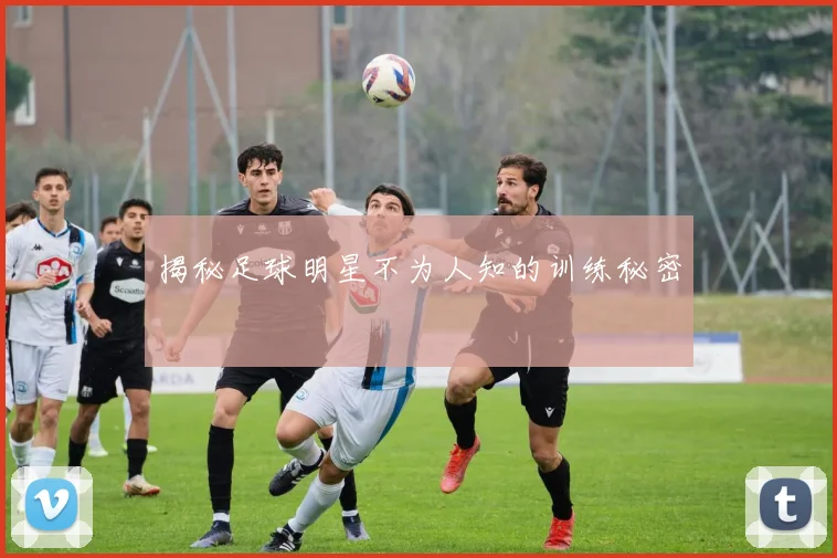 揭秘足球明星不为人知的训练秘密