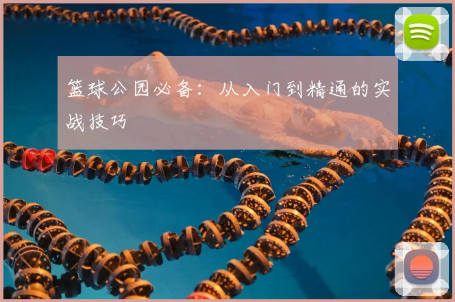 篮球公园必备:从入门到精通的实战技巧