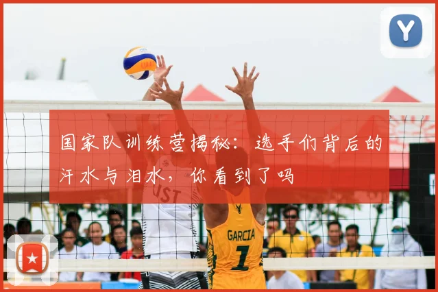 国家队训练营揭秘:选手们背后的汗水与泪水,你看到了吗