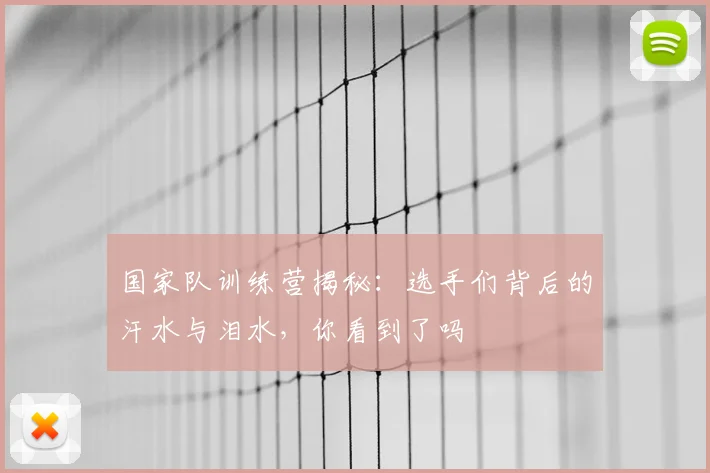 国家队训练营揭秘：选手们背后的汗水与泪水，你看到了吗
