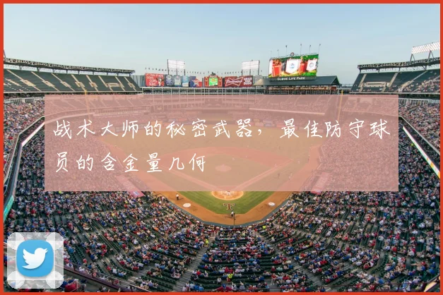 战术大师的秘密武器，最佳防守球员的含金量几何