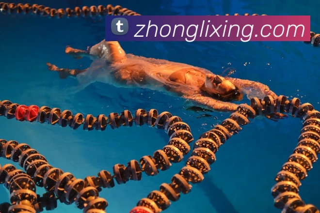 对战数据统计